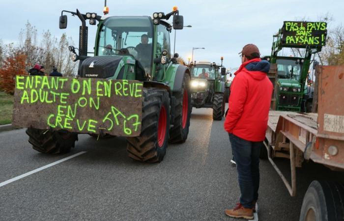 TÉMOIGNAGES. L’agriculture bas carbone est-elle encore possible ? 7 700 agriculteurs consultés dans toute la France