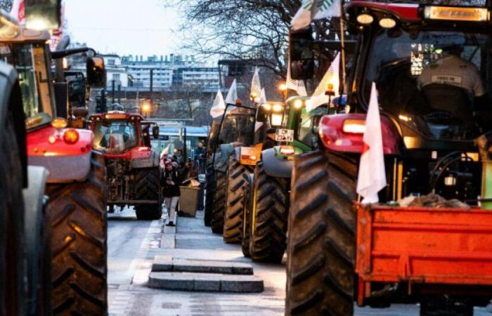 des agriculteurs murent les locaux d’une association environnementale : Actualités