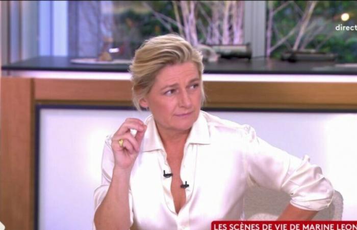 Anne-Elisabeth Lemoine pousse un violent coup de gueule dans C à vous, les chroniqueurs surpris (VIDEO)