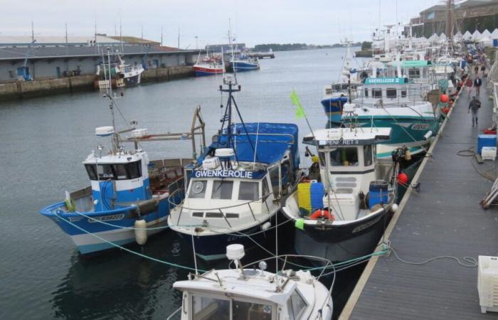 Ce que l’on sait de la perquisition au port de Lorient dans le cadre d’un accord avec Oman