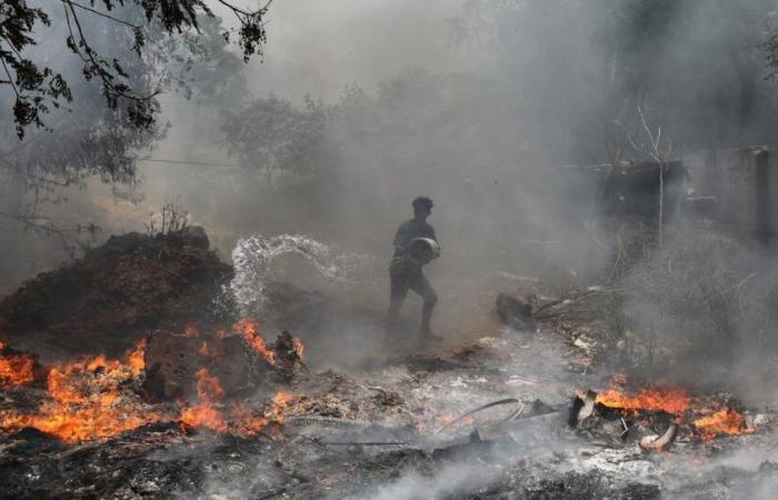 Selon une étude – rts.ch, la pollution provoquée par les incendies tue chaque année plus de 1,5 million de personnes