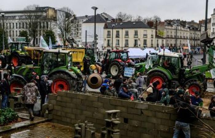 des associations écologistes dénoncent les violences lors des manifestations