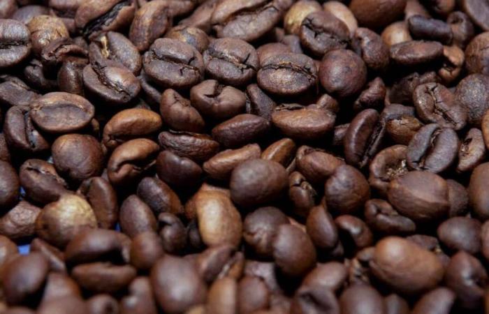 « Record historique » pour les prix du café en Colombie