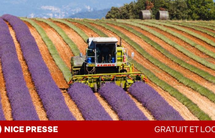 en Provence-Alpes-Côte d’Azur, la Région Sud annonce le maintien de ses aides locales, malgré les coupes budgétaires du gouvernement