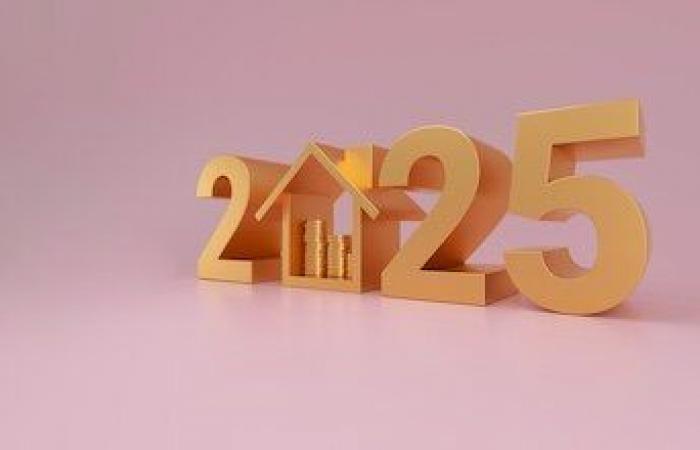 les prix continueront-ils à baisser en 2025 ?