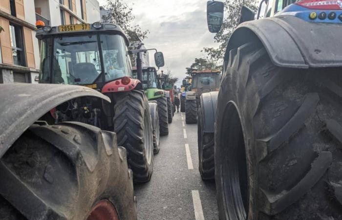 “On n’a rien, ils espèrent qu’on démobilise”