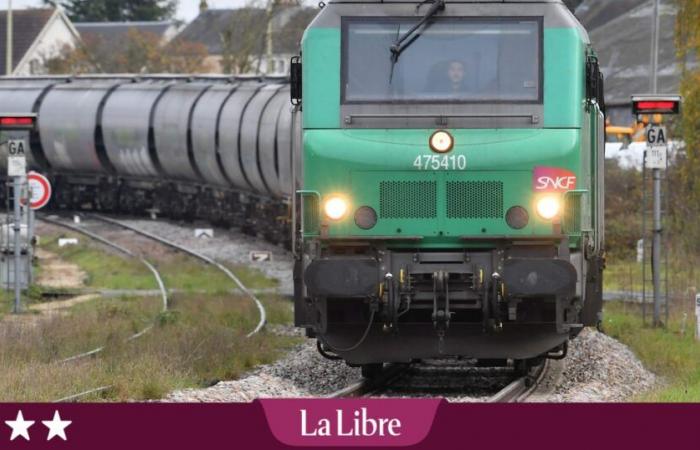 Deux hommes, une gare, un train et une aventure qui se termine par du boudin