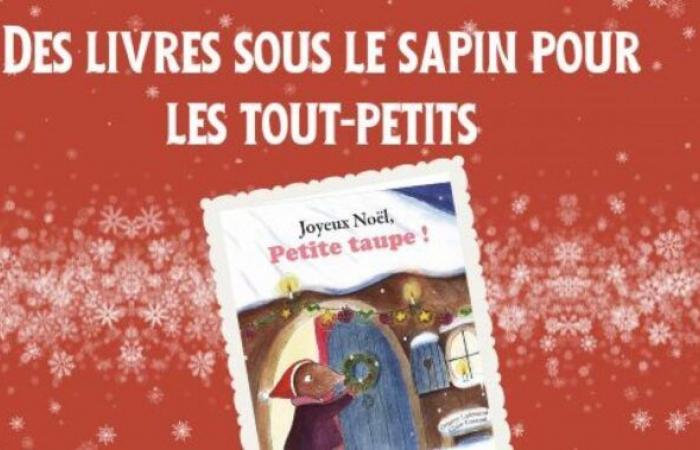 Livres pour les tout-petits sous le sapin :