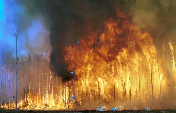 1,5 million de personnes meurent chaque année dans le monde à cause de la pollution causée par les incendies