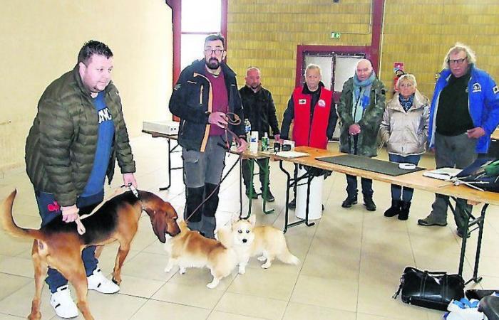 Monclar-de-Quercy. Canine Society 82: new confirmation