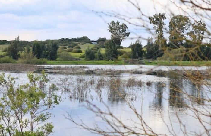 Israël se lance dans la conservation offshore avec son premier parc marin national