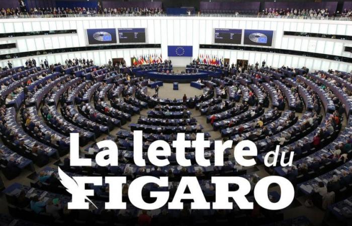 Lettre du Figaro du 28 novembre 2024