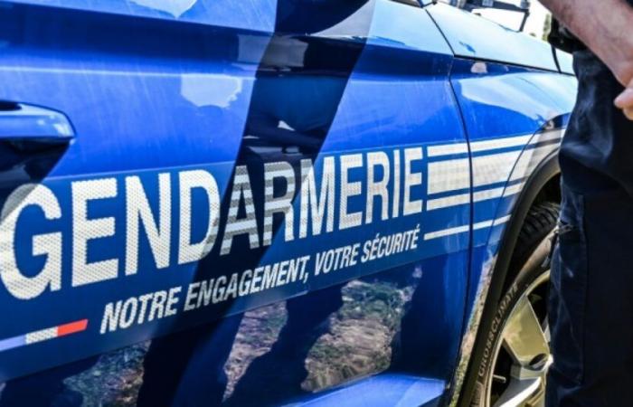 une chasse organisée vendredi : Actualités