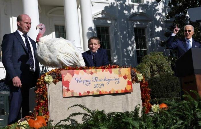 pour Thanksgiving, les autorités déconseillent de saumurer votre dinde dans le Grand Lac Salé