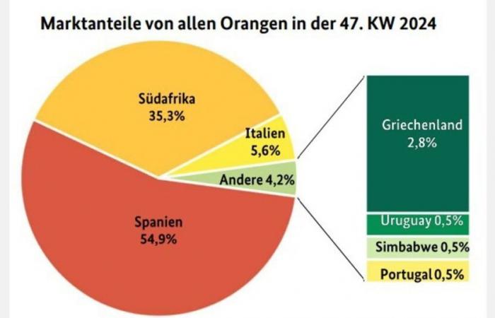 « L’assortiment européen d’oranges a relativement gagné en importance »