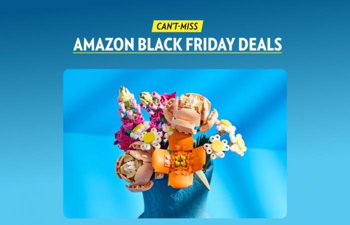 Les 15 meilleures offres Amazon Black Friday Lego pour adultes et enfants