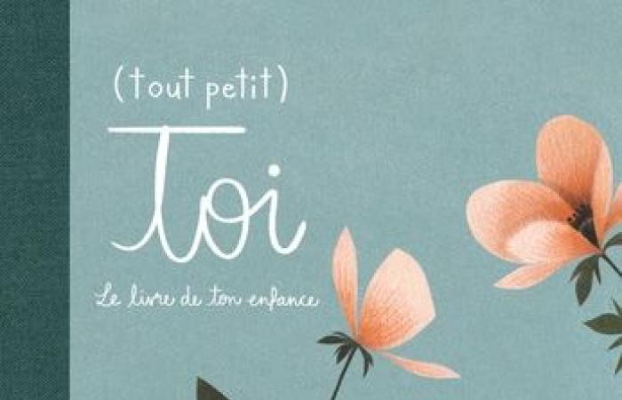 (Très peu) toi, Le livre de ton enfance (Flammarion jeunesse)