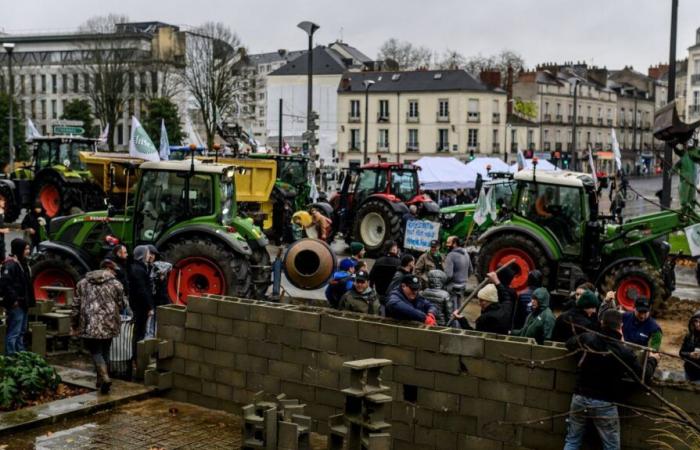 des associations écologistes dénoncent les violences lors des manifestations