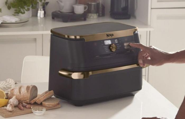 Quelle est la meilleure Airfryer ? 3 nouvelles offres spéciales Black Friday à découvrir