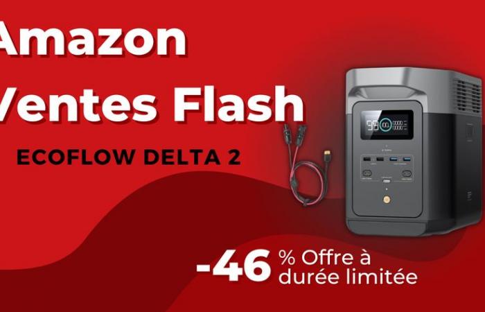 EcoFlow DELTA 2 en promotion Black Friday – Économisez 550 € sur la station électrique portable de 1 800 W avec charge rapide et capacité évolutive