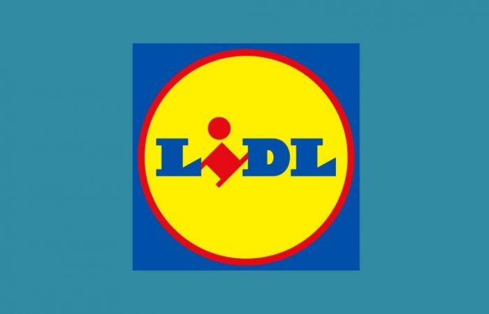 Lidl frappe fort avec 3 offres Parkside à des prix records