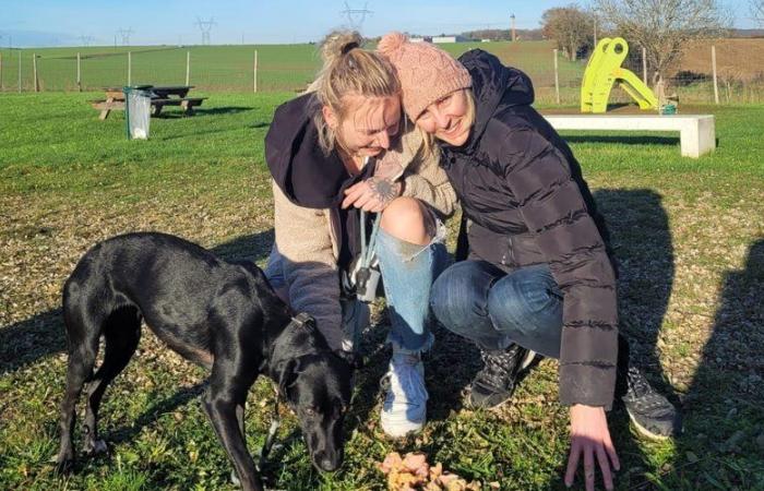 “Elle s’est jetée dans les bras de sa maîtresse”, a finalement découvert le jeune chien