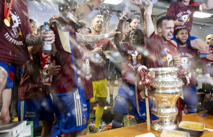 Servette FC, objet du cinéma