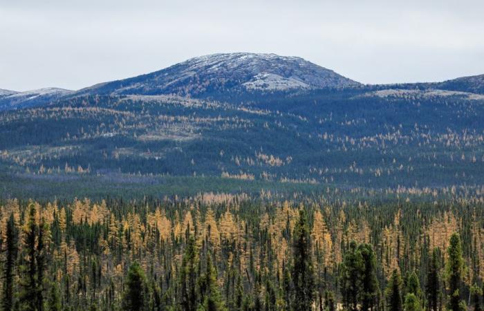 Création du parc national Nibiischii