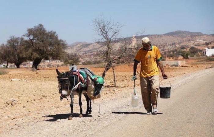 Gestion des ressources en eau : entre projections et réalités