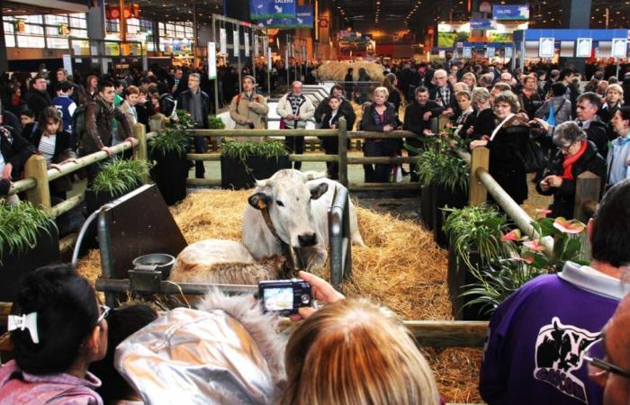 Ce département d’Occitanie renonce au Salon de l’Agriculture de Paris pour faire des économies