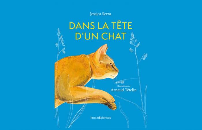 Le premier livre sur l’éthologie du chat ⋆ Savoir Animal