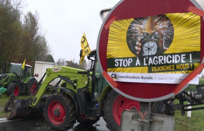 La guerre des syndicats agricoles est lancée