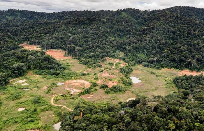 La protection de l’environnement a prévalu sur le projet de mine industrielle Montagne d’Or en Guyane