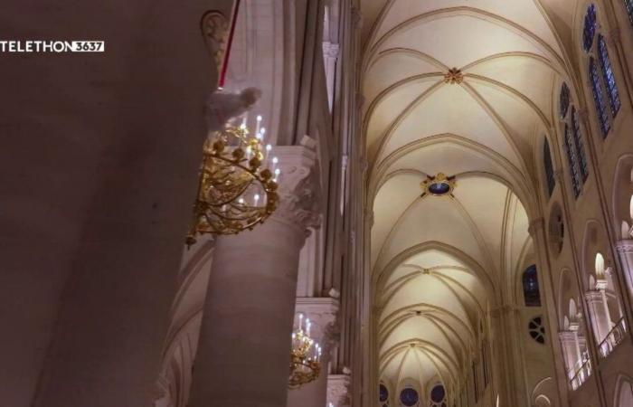 aperçu de la splendeur de la cathédrale restaurée