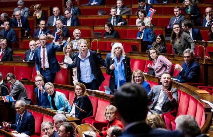 coup de chaud à l’Assemblée après les menaces du député Modem Nicolas Turquois – Libération