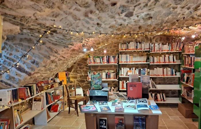 Saint-Félix-de-Lunel. La bibliothèque a ouvert des portes et des livres