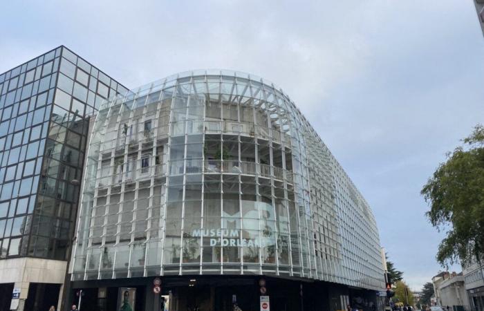 Une exposition pas comme les autres sur la mer prend place au MOBE à Orléans