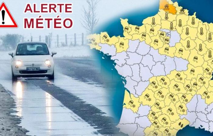 54 départements en alerte et menacés par des gelées exceptionnelles ce week-end