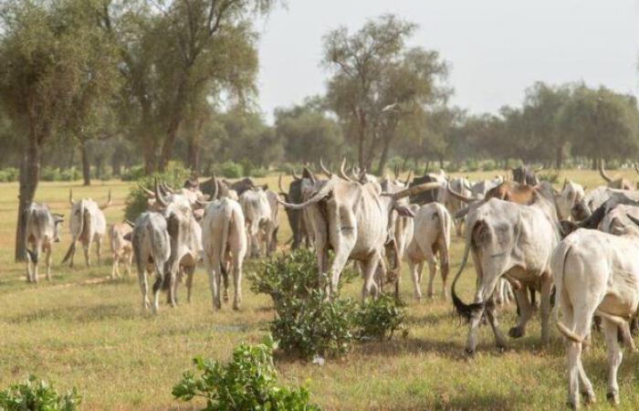 agroécologie et pastoralisme pour lutter contre la dégradation des terres