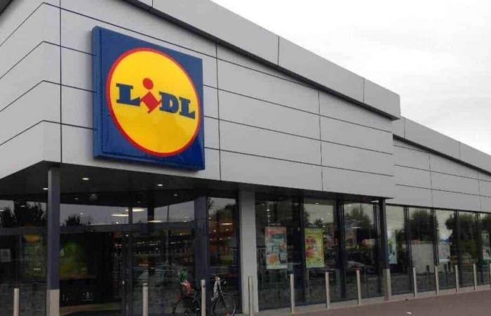 LIDL a trouvé la solution à petit prix pour lutter contre le froid cet hiver