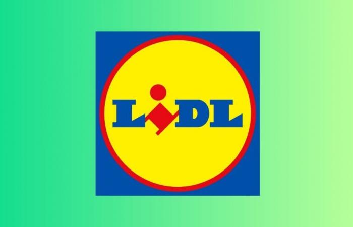 Lidl frappe fort pour son Black Friday avec ces 5 belles offres