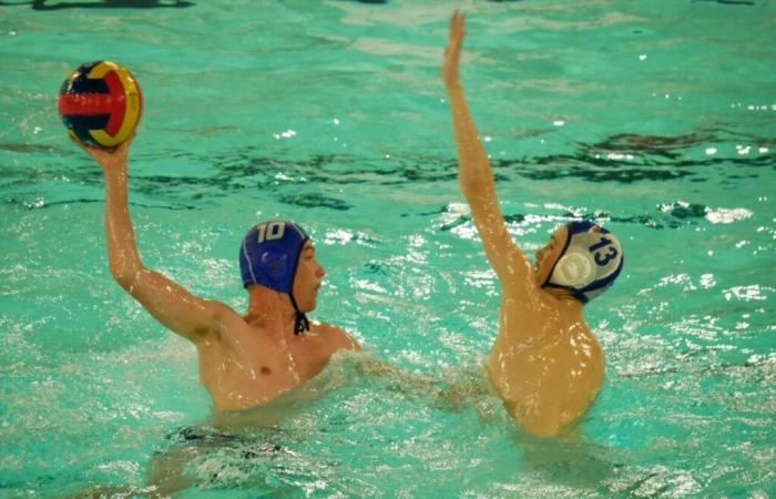 Water polo. Flers en quête de sa première victoire : « Nous n’avons pas abandonné »