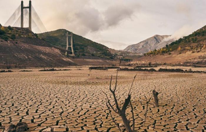 Les satellites révèlent que la quantité totale d’eau douce sur Terre a chuté de manière alarmante