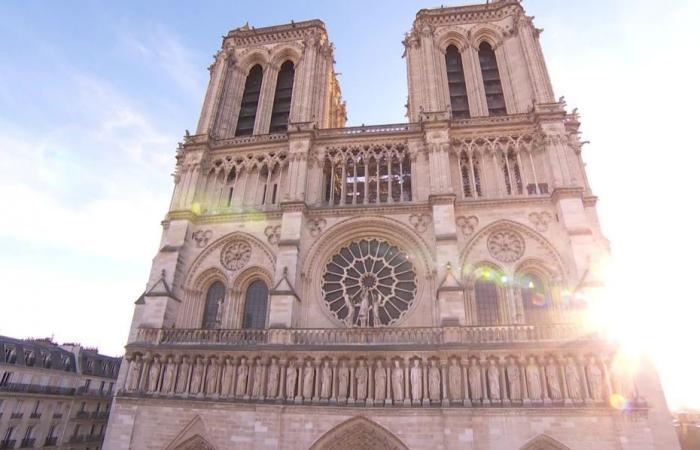 quand la pierre et les arbres des Hauts-de-France contribuent au chantier du siècle