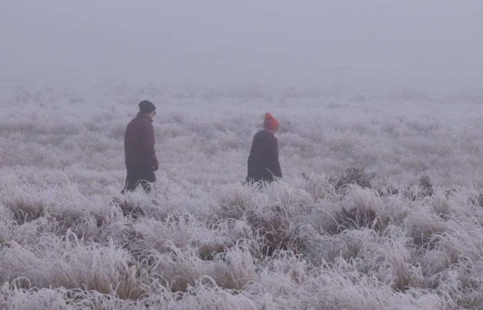 il va geler dans ces 54 départements, attention au froid ce week-end