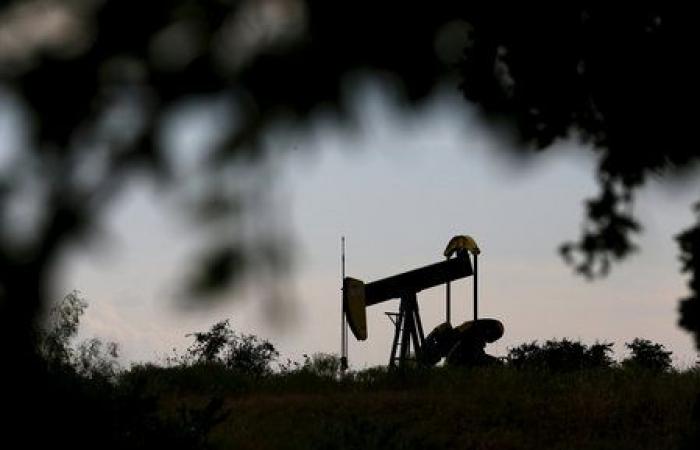 Légère baisse des prix du pétrole en raison des incertitudes de l’OPEP+