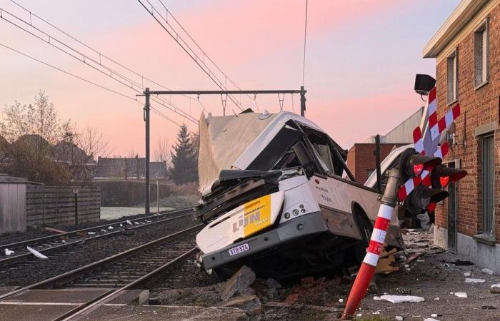 “Il y avait 20 enfants à bord, le chauffeur a évité une catastrophe” (Zedelgem)