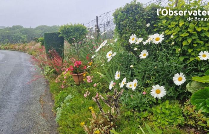 2ème fleur, prix spéciaux… Le triplé gagnant de l’Agglo aux Villages fleurs 2024 de l’Oise