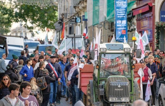 la FNSEA annonce une nouvelle mobilisation “partout en France”, voici les dates des prochaines manifestations