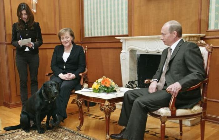 17 ans plus tard, Poutine revient sur le moment où il a effrayé Merkel avec son chien